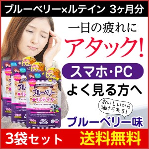 おいしいお手軽サプリ ブルーベリー×ルテイン 120粒30日分×3袋セット/栄養機能食品/ビタミンA/疲れ目/サプリメント/ブルーベリー味【送