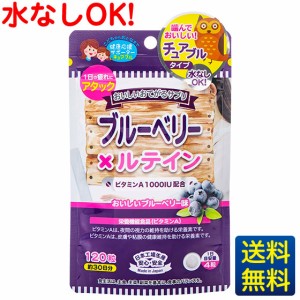 おいしいお手軽サプリ ブルーベリー×ルテイン 120粒30日分/栄養機能食品/ビタミンA/疲れ目/サプリメント/ブルーベリー味【送料無料】