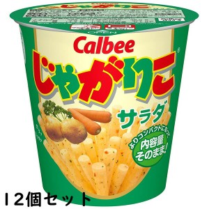 カルビー じゃがりこ サラダ味 60g×12個セット＜ポテトスナック菓子＞【送料無料】