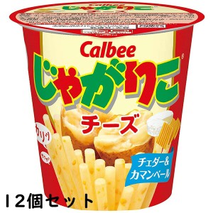 カルビー じゃがりこ チーズ味 58g×12個セット＜ポテトスナック菓子＞【送料無料】