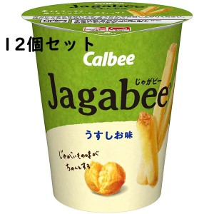 カルビー Jagabee(じゃがビー) うす塩味 40g×12個セット＜ポテトスナック菓子＞【送料無料】