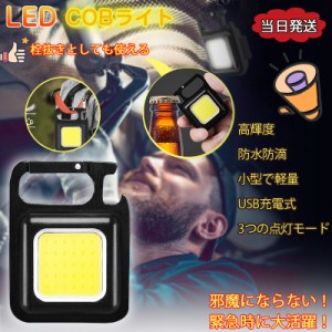 ledライト 小型COBライト 999円ぽっきり ミニ投光器 充電式 多機能 マグネット キャンプ 明るい 軽量 大光量 ハンズフリー 超強力 作業 L