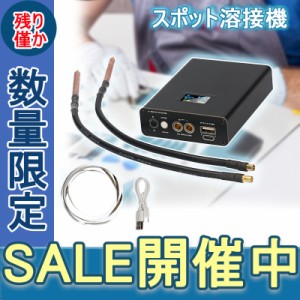 送料無料 スポット溶接機 DIY 小型 ミニ ポータブル ハンドヘルド溶接ペン ニッケル シート 歯車職人 初心者のための充電ケーブルで調整