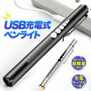 ペンライト ポケットライト led 充電式 USB充電 白色 暖色 瞳孔 懐中電灯 夜勤用 小型 看護師 介護 スリム 軽量 クリップ 便利 LED照明