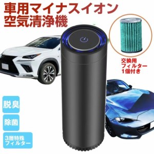 【送料無料】車載用空気清浄機 usb 車 消臭 空気清浄機 花粉 プラズマクラスター イオン発生器 除菌消臭 強力消臭 交換フィルターセット