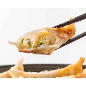 惣菜 レトルト栃木 宇都宮餃子「さつき」セット 取り寄せ グルメ 産地直送 父の日 プレゼント 結婚祝い 内祝