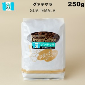 グアテマラ グァテマラ 100% 250g コーヒー豆 コーヒー 珈琲【ネコポス送料無料】