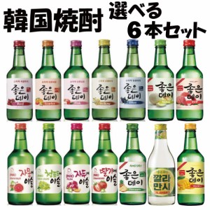 ■28種類から　選べる　韓国　果実焼酎　6本セット■　ジョウンデー チョコミント お酒/焼酎/韓国焼酎/韓国お酒】 ジョウンデー/チャミス