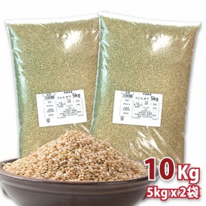 [令和5年産新米] 茨城県産 こしひかり 玄米 10kg (5kg x 2袋) お米 米屋直送 (※沖縄、離島は除く) 新しいお米 お米 ギフト ゲンマイ 送