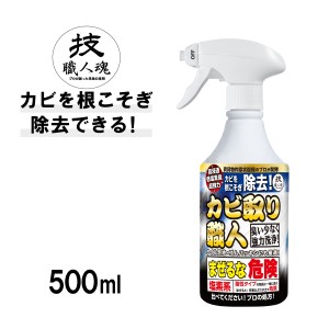 洗剤 カビ取りカビ カビ取り 風呂掃除 洗剤 部屋 湿気 対策 風呂 掃除 そうじ 黒カビ 除去 ゴム パッキン ゴムパッキン タイル 目地 お風