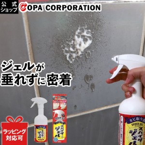 カビ取り剤 スパイダージェル 500ml カビ取りカビ カビ取りジェル 風呂掃除 洗剤 部屋 湿気 対策 風呂 掃除 そうじ 黒カビ 除去 ゴム パ