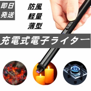 即日発送 プラズマ ライター 電子 電気 usb ライター 小型 充電式 防風 軽量 薄型 無火炎 誕生日 祝日 プレゼント アウトドアギフト