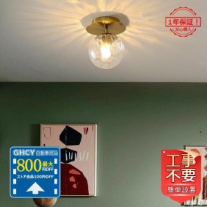 シーリングライト おしゃれ 北欧 スチール ガラス ボール LED電球付き リビング 和室 洋風 寝室 玄関 廊下 レストラン 丸形 天井照明 引