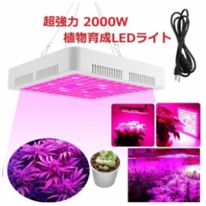 2000W 植物育成・成長LEDライト 室内 温室 水耕栽培