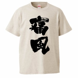 おもしろTシャツ 痛風 ギフト プレゼント 面白 メンズ 半袖 無地 漢字 雑貨 名言 パロディ 文字