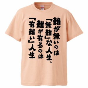 おもしろTシャツ 難が無いのは(無難)な人生、難が有るのが(有難い)人生 ギフト プレゼント 面白 メンズ 半袖 無地 漢字 雑貨 名言 パロデ