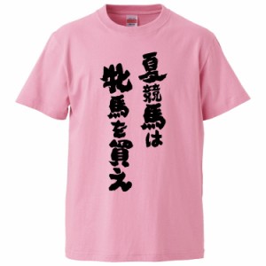 おもしろTシャツ 夏競馬は牝馬を買え  ギフト プレゼント 面白 メンズ 半袖 無地 漢字 雑貨 名言 パロディ 文字