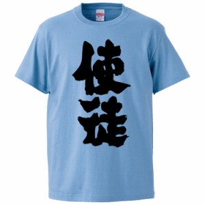 おもしろTシャツ 使徒 ギフト プレゼント 面白 メンズ 半袖 無地 漢字 雑貨 名言 パロディ 文字