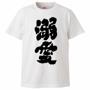 おもしろTシャツ 溺愛 ギフト プレゼント 面白 メンズ 半袖 無地 漢字 雑貨 名言 パロディ 文字