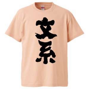 おもしろTシャツ 文系 ギフト プレゼント 面白 メンズ 半袖 無地 漢字 雑貨 名言 パロディ 文字