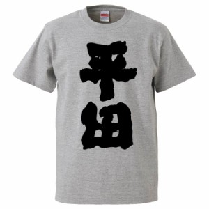 おもしろTシャツ 平田 ギフト プレゼント 面白 メンズ 半袖 無地 漢字 雑貨 名言 パロディ 文字