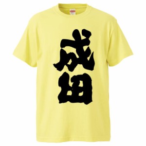 おもしろTシャツ 成田 ギフト プレゼント 面白 メンズ 半袖 無地 漢字 雑貨 名言 パロディ 文字