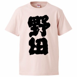 おもしろTシャツ 野田 ギフト プレゼント 面白 メンズ 半袖 無地 漢字 雑貨 名言 パロディ 文字