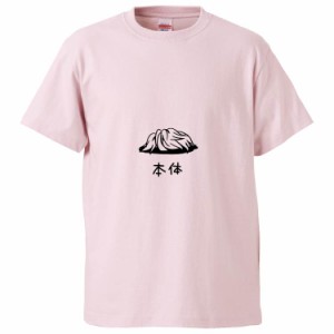 おもしろTシャツ カツラ本体 ギフト プレゼント 面白 メンズ 半袖 無地 漢字 雑貨 名言 パロディ 文字