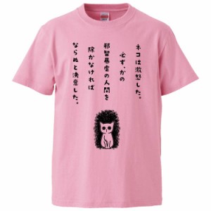 おもしろTシャツ ネコは激怒した ギフト プレゼント 面白 メンズ 半袖 無地 漢字 雑貨 名言 パロディ 文字