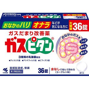 【第3類医薬品】 ガスピタン 36錠