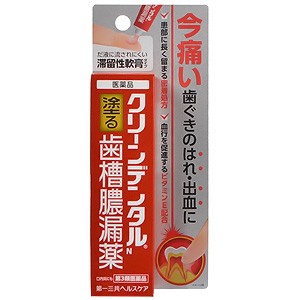 【第3類医薬品】 クリーンデンタルN 歯槽膿漏薬 16g