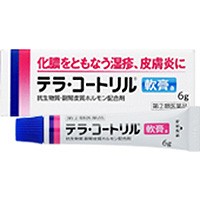 【第（2）類医薬品】 テラ・コートリル軟膏a 6g