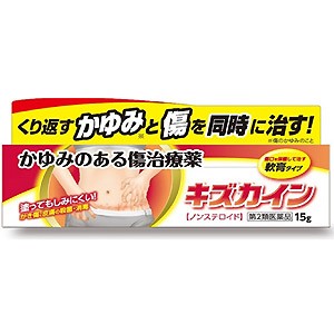 【第2類医薬品】 キズカイン（15g）