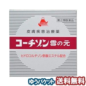 【第（2）類医薬品】 コーチゾン雪の元 15g メール便送料無料