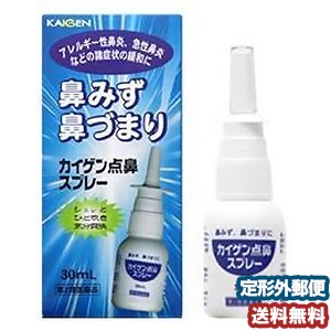 【第2類医薬品】 カイゲン点鼻スプレー 30ml メール便送料無料