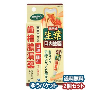 【第3類医薬品】 小林製薬 生葉口内塗薬 20g×2個セット メール便送料無料