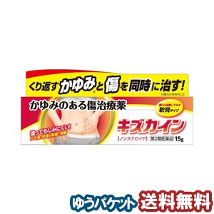 【第2類医薬品】 キズカイン（15g） メール便送料無料