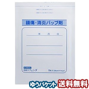 【第3類医薬品】 GSリフェンダ 大判 5枚入  メール便送料無料