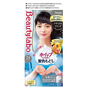 BeautyLabo（ビューティラボ） ホイップヘアカラー 髪色もどし ナチュラルブラック 40g+80mL+5mL