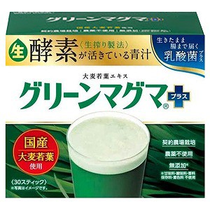 グリーンマグマプラス 90g(3g×30スティック)