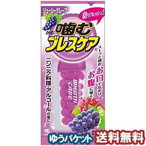 小林製薬 噛むブレスケア ジューシーグレープ　(25粒) メール便送料無料