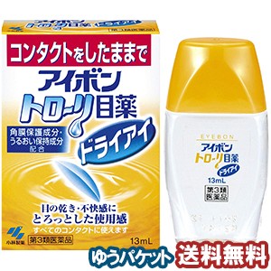 【第3類医薬品】 小林製薬 アイボントローリ目薬ドライアイ 13mL  メール便送料無料