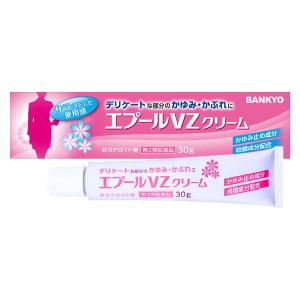 【第2類医薬品】エプールVZクリーム 30g 鎮痒消炎薬 メール便送料無料