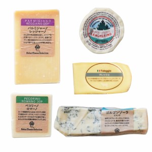 イタリア チーズ 詰め合わせ 5種セット お得 パルミジャーノレッジャーノ ペコリーノロマーノ ゴルゴンゾーラピカンテ ランゲリーノ タレ