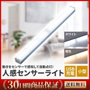 人感センサーライト 室内 玄関 led 照明 USB充電式 1000円ポッキリ クローゼット 玄関 ナイトライト 屋内 廊下 災害グッズ　1本