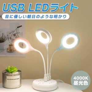 USBライト USBランプ USB LED 昼光色 オフィス パソコン ノートパソコン モバイルバッテリー 車用 ライト 照明 ミニランプ ミニライト 小