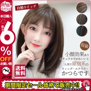 ウィッグ セミロング ミディアム かつら フルウィッグ 自然ウイッグ レディース ストレート コスプレ変装 仮装 メッシュ パーティー カー