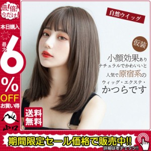 ウィッグ セミロング ミディアム かつら フルウィッグ 自然ウイッグ レディース ストレート コスプレ変装 仮装 メッシュ パーティー カー