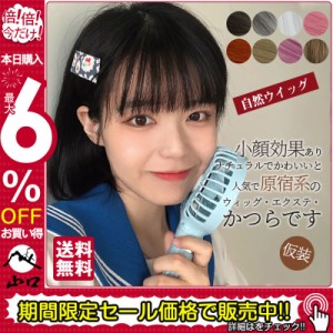 ウィッグ セミロング ミディアム かつら フルウィッグ 自然ウイッグ レディース ストレート コスプレ変装 仮装 メッシュ パーティー カー