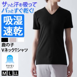 新作 GUNZE グンゼ アセドロン 鹿の子 吸湿速乾 メンズ 半袖 Vネック インナー Tシャツ MCA715 メンズ トップス 肌着 下着 吸汗速乾 ドラ